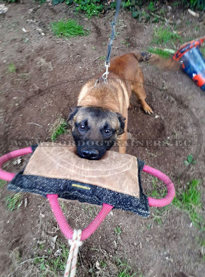 Bite-resistant Jute Training Pillow