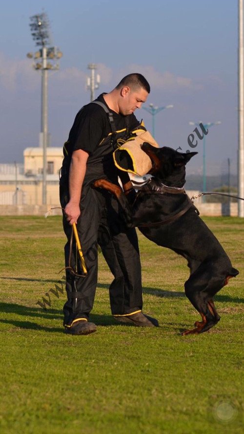 Jute Bite Sleeve for Service Dog Training