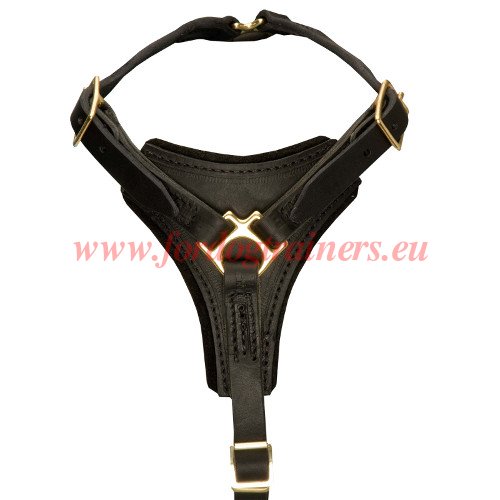 Padded Dog
Harness