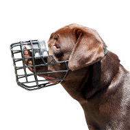 dog muzzle for labrador uk