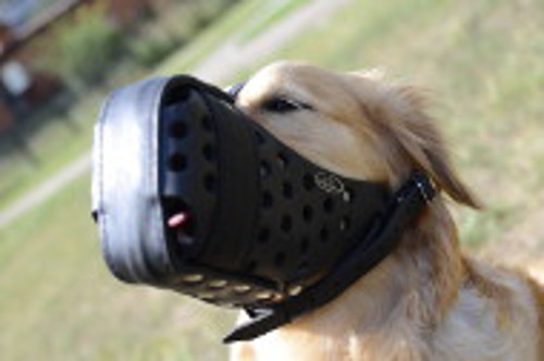 Leather Muzzle for Attack and Protection for Golden Retriever - Click Image to Close