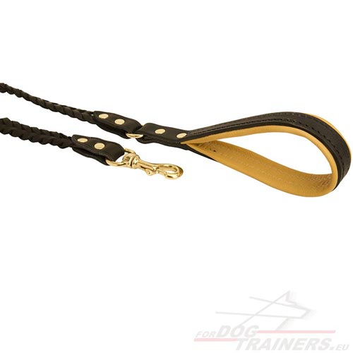 Leash with Comfortable Handle