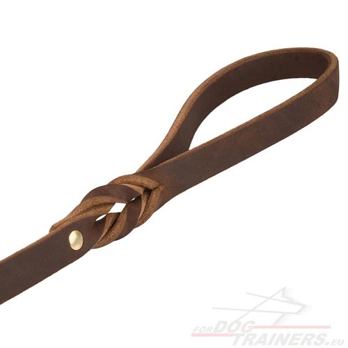 Laisse en cuir marron pour chien