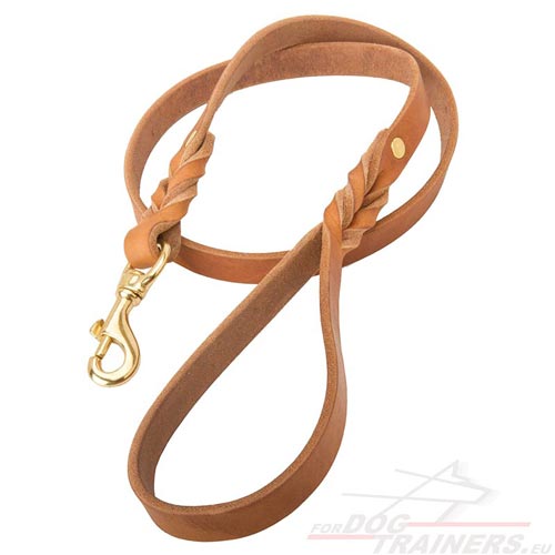 Long-lasting Dog Leash