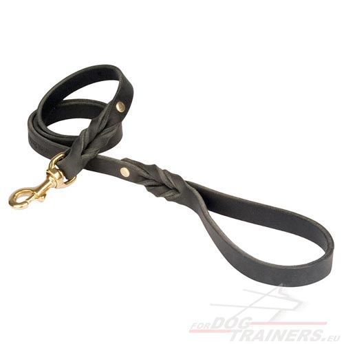 Leather
Leash for Big Dogs