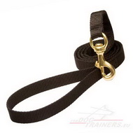 Leine aus Nylon fuer Hundetraining