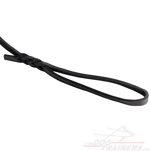 Leather Leash 10 mm Wide for Dog