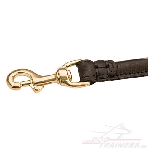 Laisse coupleur en cuir avec mousquetons fiables pour
chiens