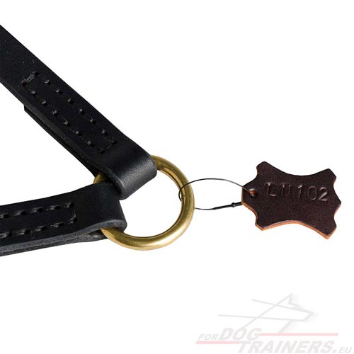 Genuine Leather Dog Leash for Two Dogs