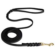 Dog Show Leather Leash