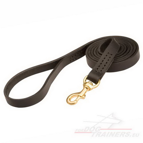 Laisse fiable en cuir pour gros chien ou moyen