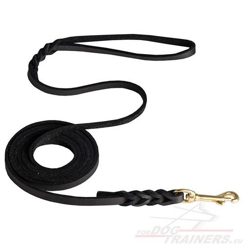 Braided Leather Leash with Brass Snap Hook