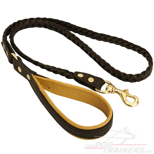 Laisse en cuir marron pour chien