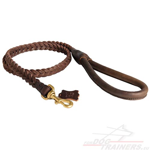 Braided Leash with Round Handle