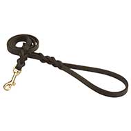 Walking Dog Leash | Show Dog Leash ✾ [L313#1057 Guinzaglio da ring per cani medi]