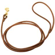 Laisse en cuir rond 5 mm pour chien