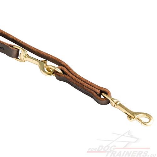 Dog Leash Leather and Brass