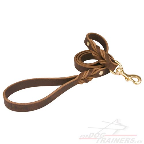 Leash with Solid Snap Hook