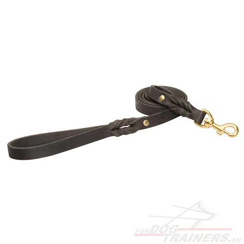 Solid
Leather Dog Leash