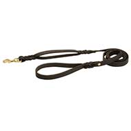 Leather Dog Lead