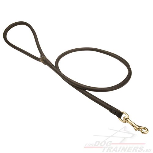 Round Leather Leash