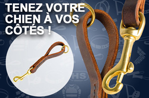 Laisse en cuir pour chien