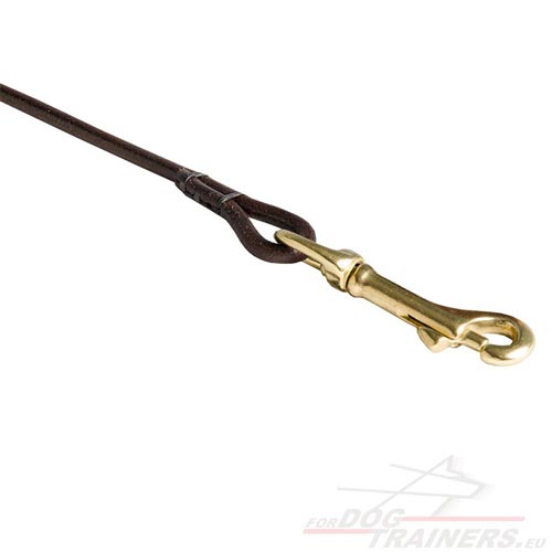 Leather Dog Lead Genuine Materials