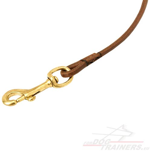 Small Dog Show Leash