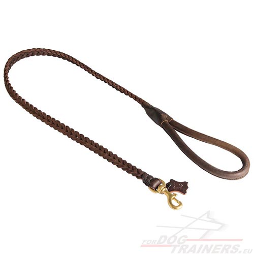 Dog Leash with Round Leather Handle