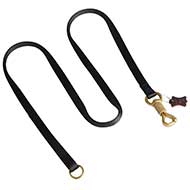 Dog Leash Nylon with the Reinforced Snaphook
