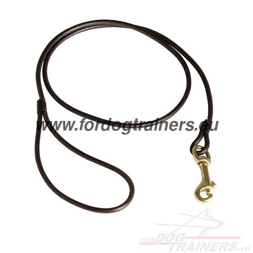 Leash for Dog Show High Quality