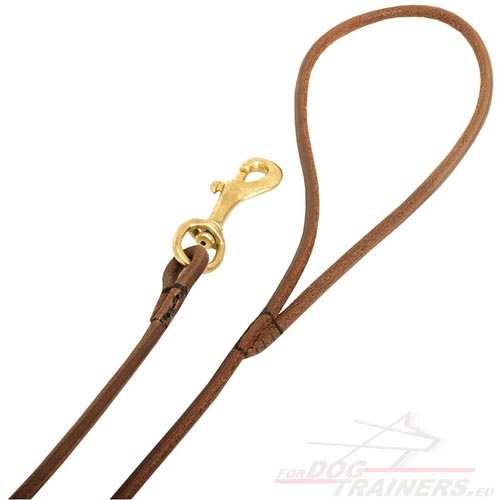 Dog Leash Long and Short Dog Leash