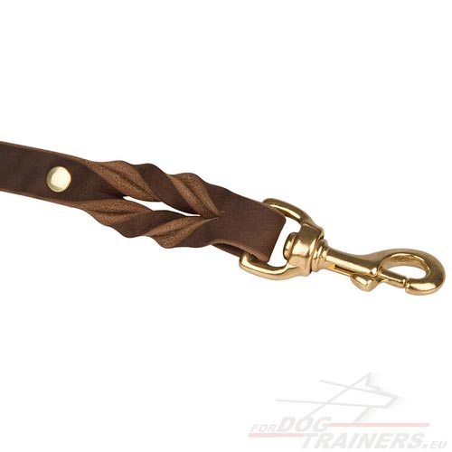 Big Dog
Leather Leash