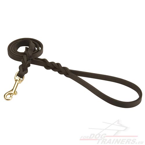 Laisse en cuir fiable pour chien