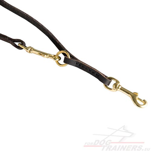 Long Leather Leash