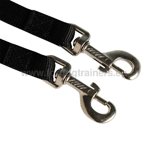 Durable Solid Nylon Leash for Two Dogs