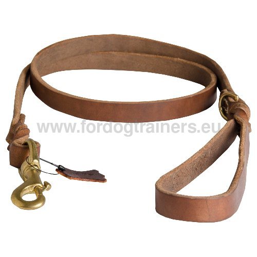 Durable Leather Dog Leash