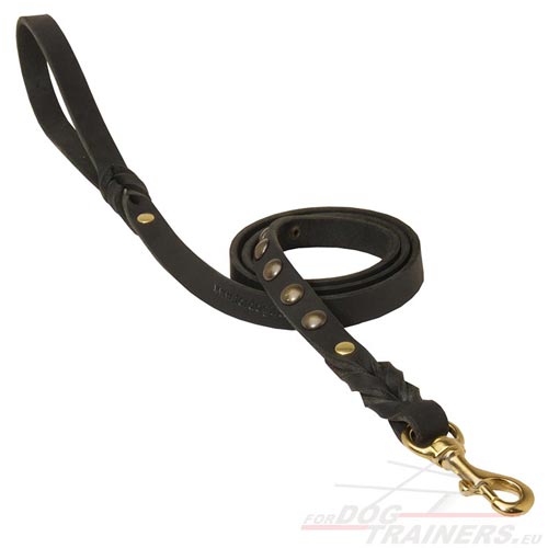 Leash for Dog with Solid Brass Hook