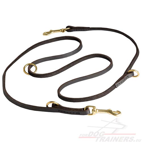 Long Dog Leash for Walking and Training