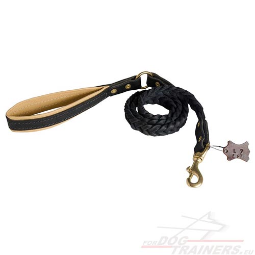 Elegant Leather Dog Leash