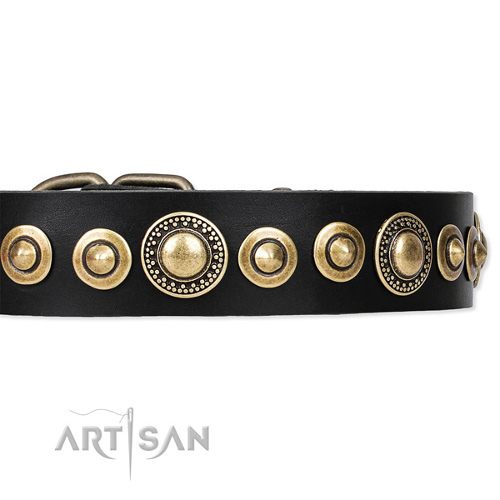 Handmade Leather Dog Collar Artisan