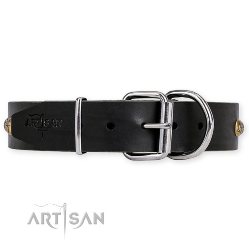 Leather Studded Dog Collars Handcrafted