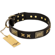 Adjustable Leather Dog Collar "Passion for Style and Beauty" FDT