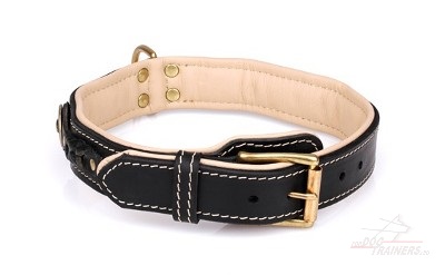 Fancy Dog Collars for Male Dogs