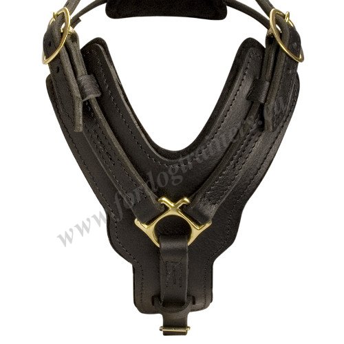 Extra
Large Dog Harness