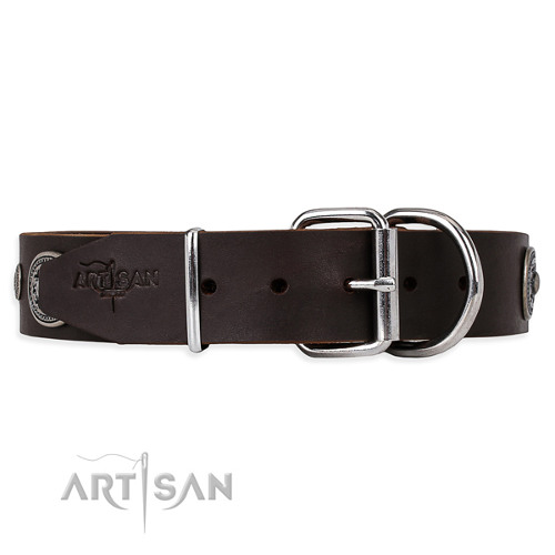 Custom Made Collars for Dogs Brown Leather