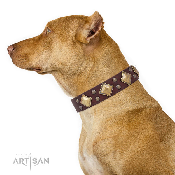 Traditionele leren hondenhalsband voor Collars Pitbull