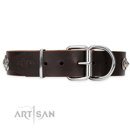 Decorated Leather Dog Collar for Large Dogs