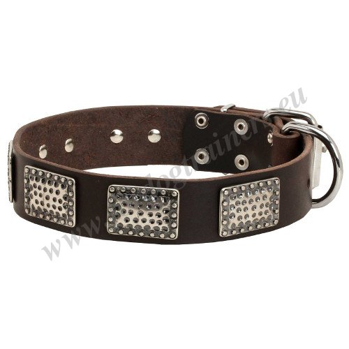 Large
Plated Dog Collar