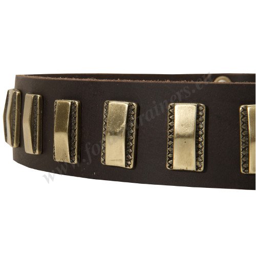 Plated Leather Dog Collar